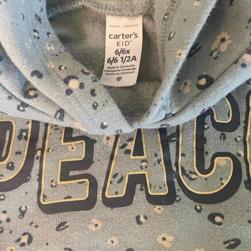 Carter’s Print Hoodie - Picture 3 of 4